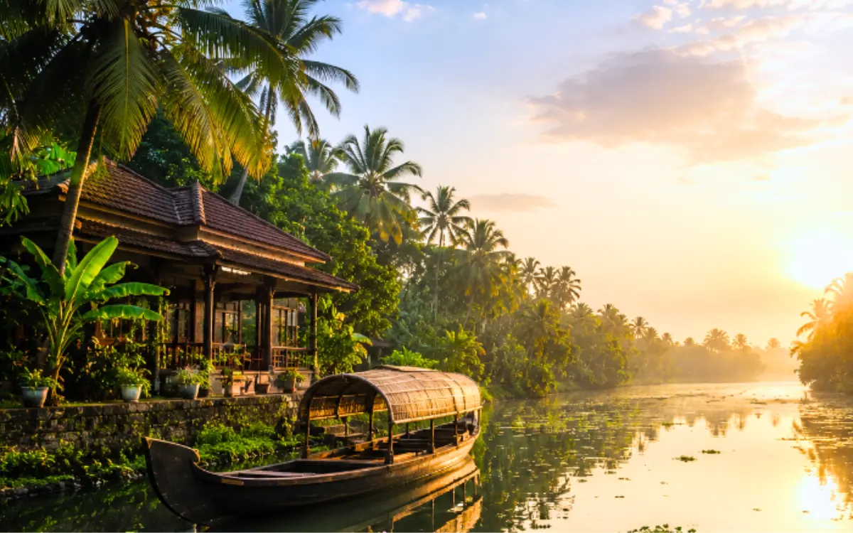 Kerala backwaters and coconut palms in golden light